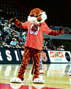 Aubie_05