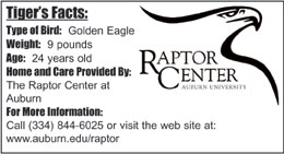 Raptor Center Logo